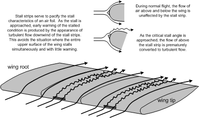 Stall Strips, Langley Flying School